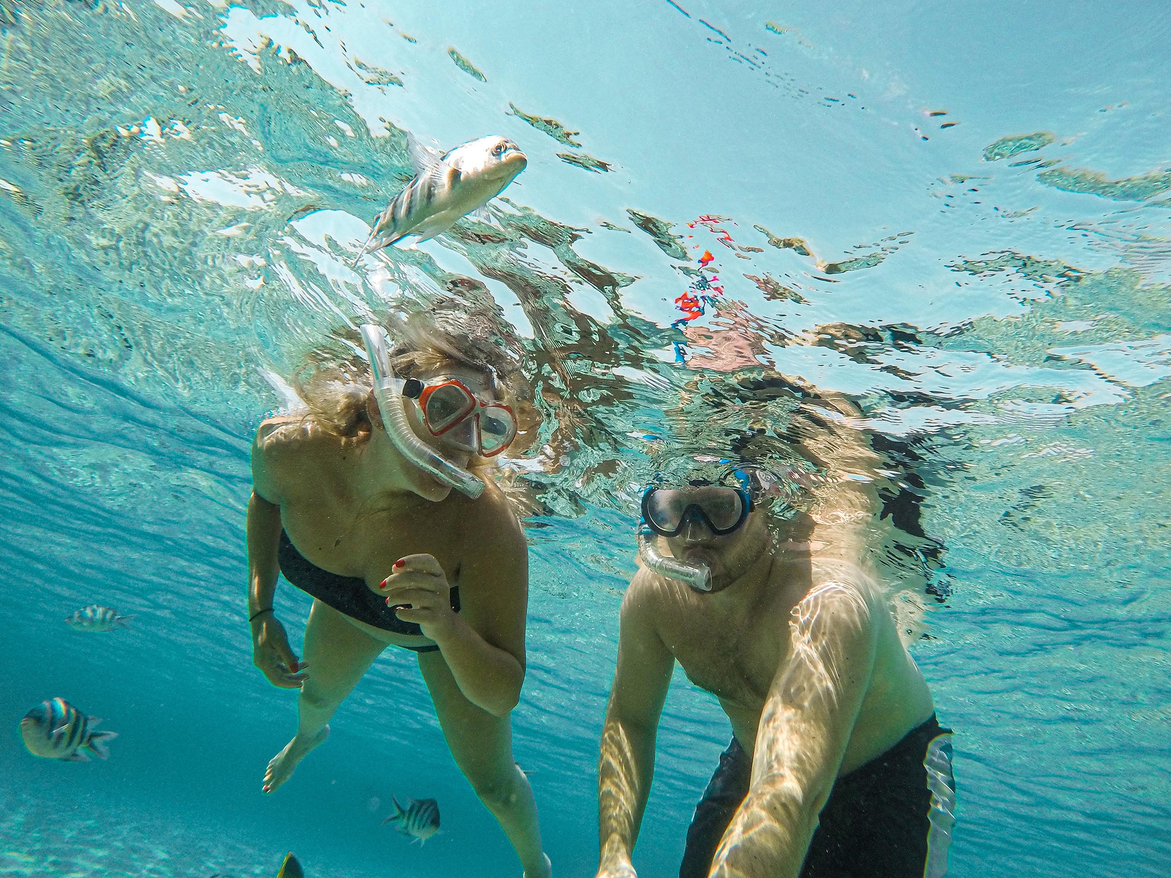Young couple snorkeling selfie with underwater camera on the coral reef in the ocean of Egypt Hurghada travel concept vacation.